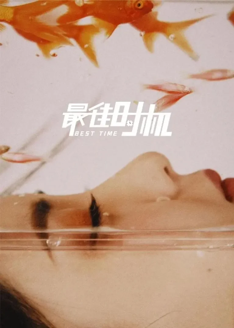 《最佳时机》全集高清完整版在线观看与剧情解析