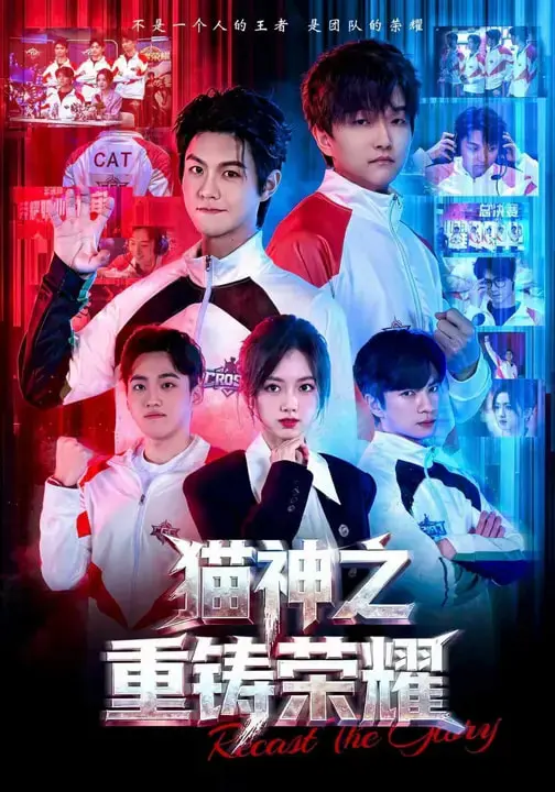 《猫神之重铸荣耀》全集高清完整版在线观看与剧情解析