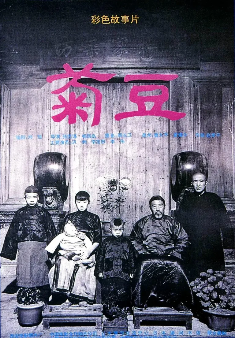 《菊豆1990》全集高清完整版在线观看与剧情解析