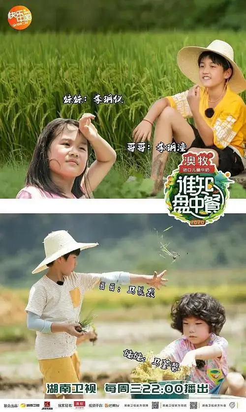 《谁知盘中餐》全集高清完整版在线观看与剧情解析