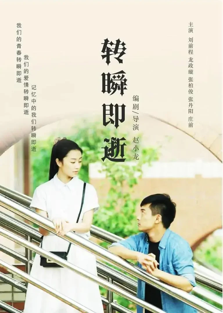 《转瞬即逝2018》全集高清完整版在线观看与剧情解析