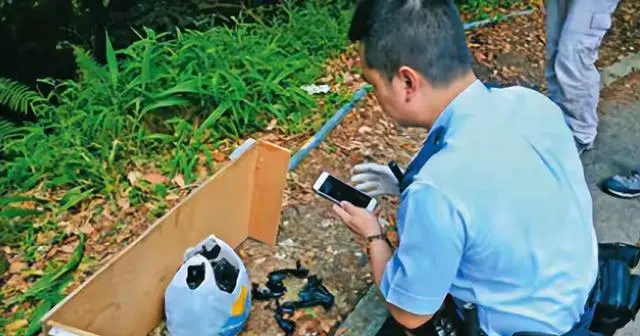 罗君儿飞鹅山绑架案细节披露:2800万赎金交付与团伙内讧始末 _ 现场图 罗君儿飞鹅山绑架案细节披露:2800万赎金交付与团伙内讧始末 _ 现场图