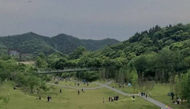 《没有一顿火锅解决不了的事》成五一档票房逆袭黑马 _ 情报图